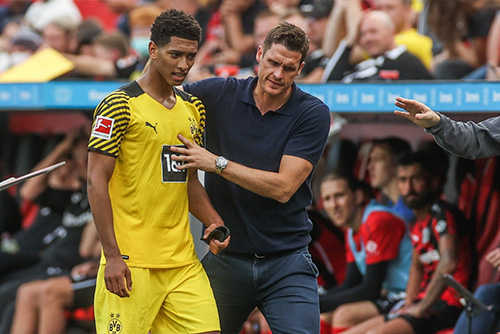 อย่าดราม่า บิ๊ก เสือเหลือง ปฏิเสธเกาเหลา จู๊ด