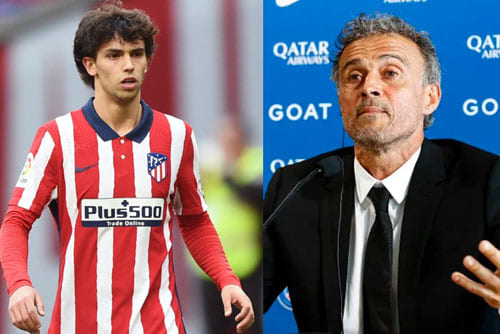 ทางออกสำหรับทุกฝ่าย! เอ็นริเก้ อาสารับปั้น เฟลิกซ์ ต่อจาก ตราหมี